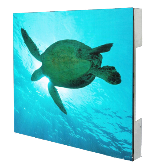 p16sn220324001 p16sn220324001